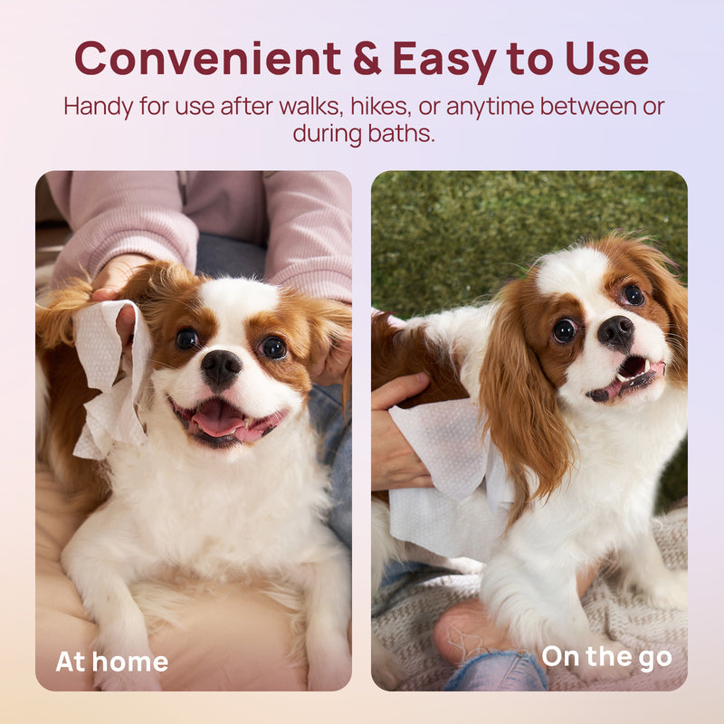 HICC Pet® Plant-Based Pet Wipes For Dogs, Damask Rose Scent, 100 Pcs