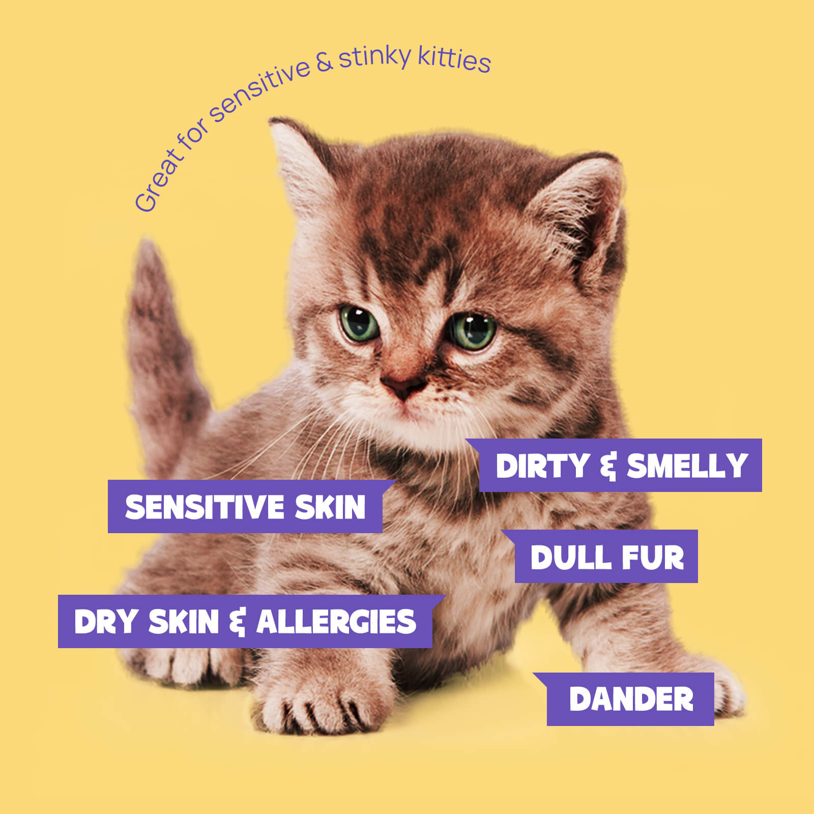 HICC Pet® Hypoallergenic Pet Glove Wipes For Cats, 6 Pcs