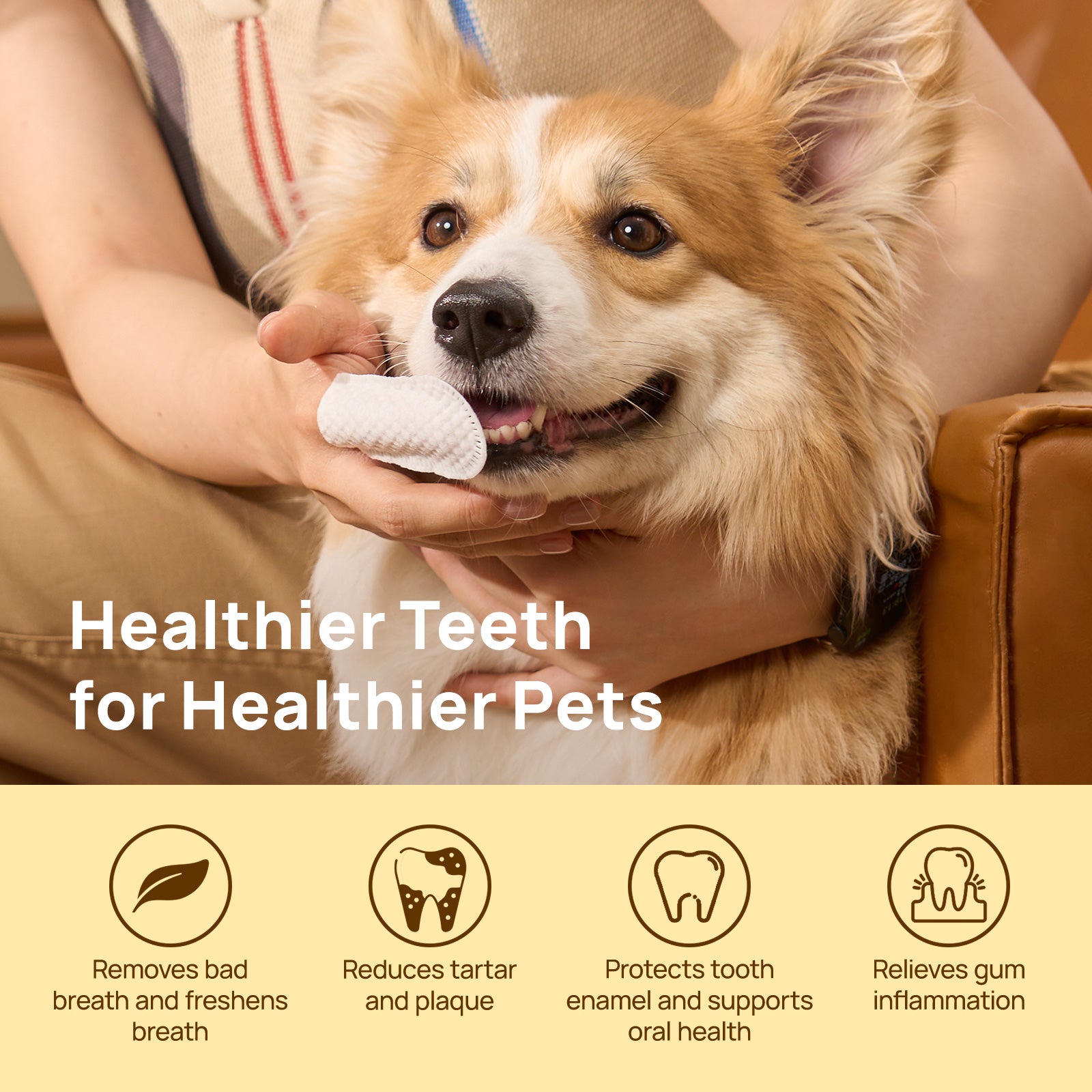 HICC Pet® Pet Dental Finger Wipes For Dogs, 50 Pcs