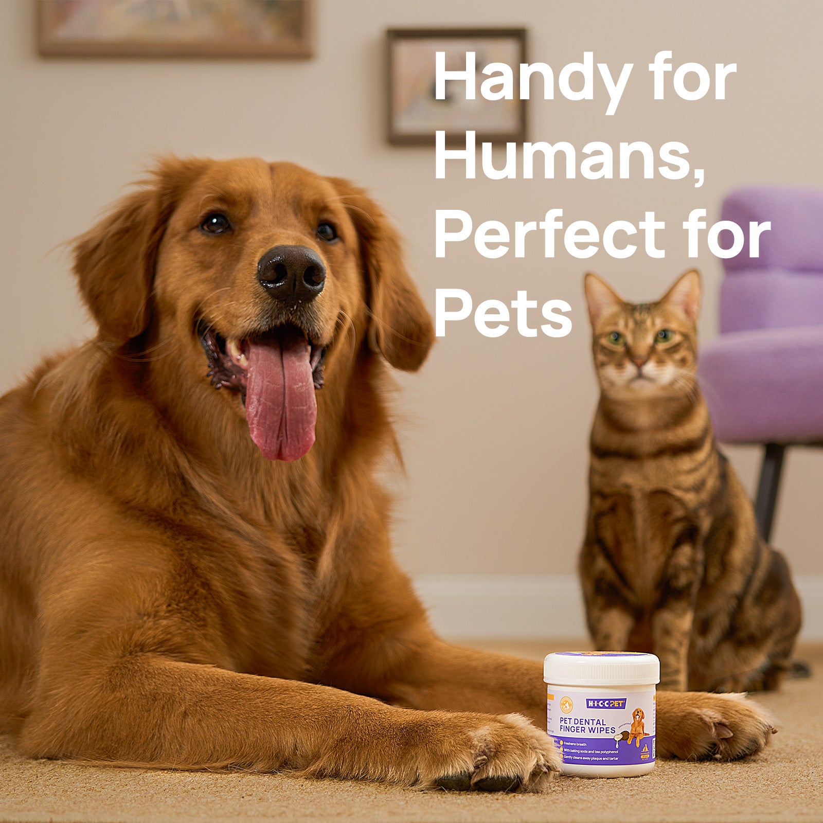 HICC Pet® Pet Dental Finger Wipes For Dogs, 50 Pcs