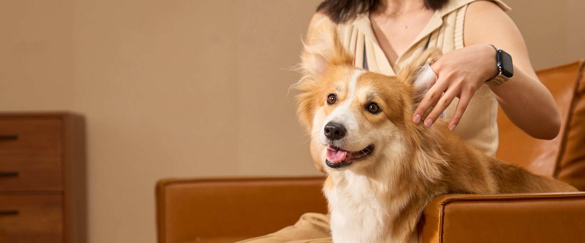 Handy for Humans,Perfect for Pets